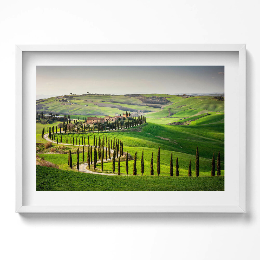 Kép keretben Toszkán táj ciprusfák sorai