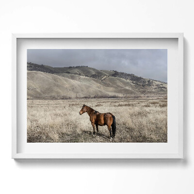 Kép keretben Ló a dombos tájban