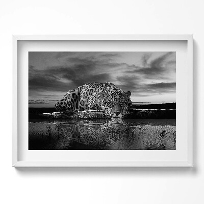 Kép keretben Fekete-fehér leopárd tükörképe