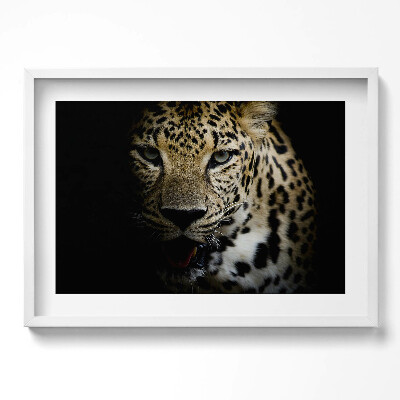 Kép keretben Leopárd arca sötét háttérrel