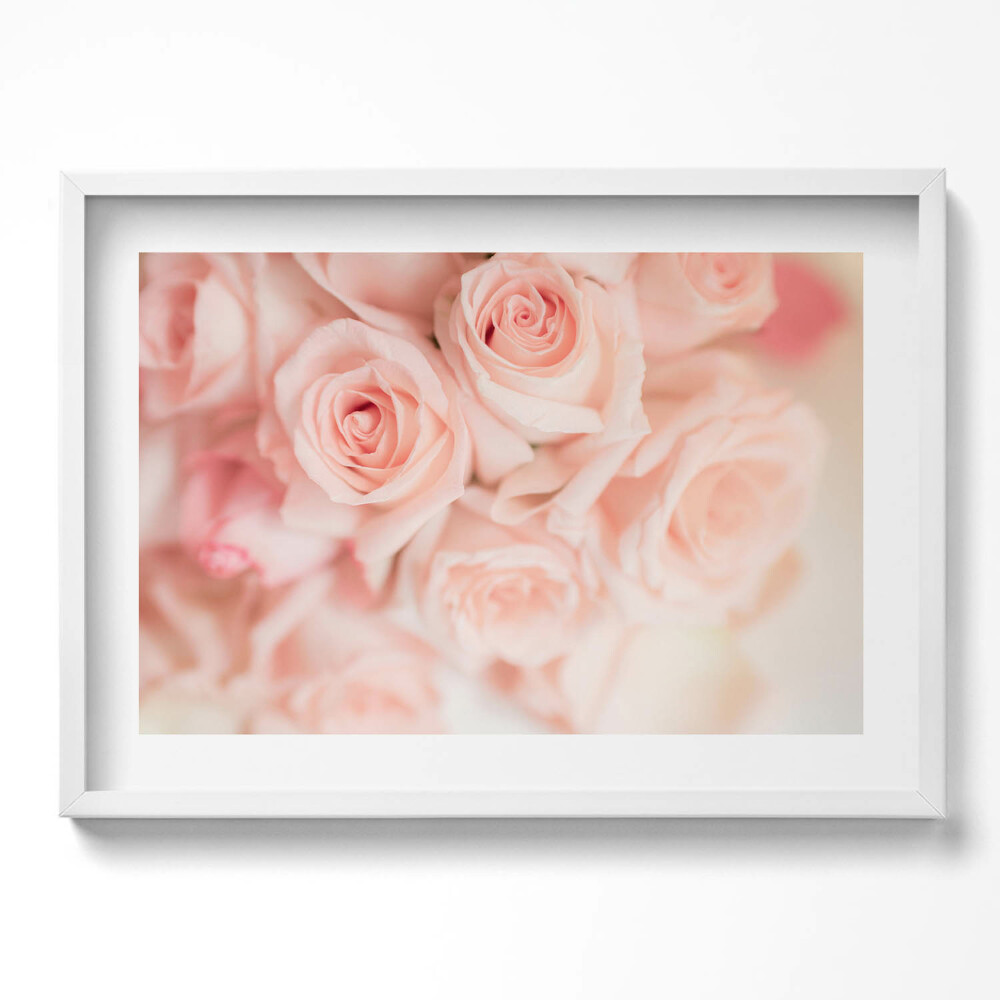 Kép keretben Rózsák halvány rózsaszínben