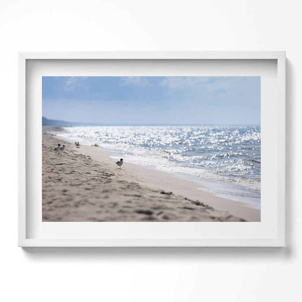 Kép keretben Tengerparti táj madár a homokban