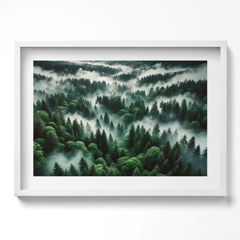 Kép keretben Zöld erdő ködben