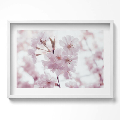 Kép keretben Cseresznyevirágok ága