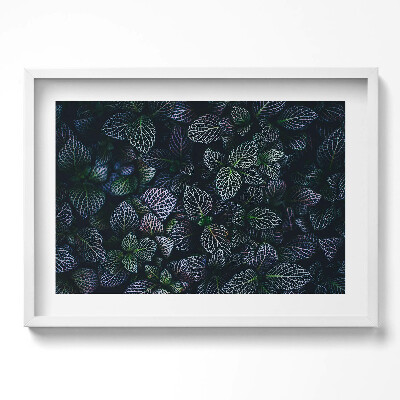 Kép keretben Levélmintás sötét háttér