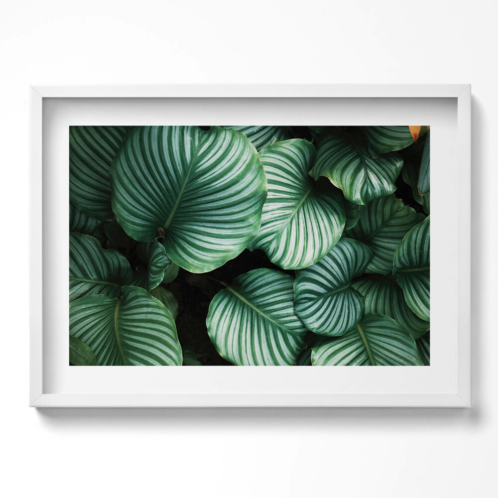 Kép keretben Zöld levelek sávos mintázat