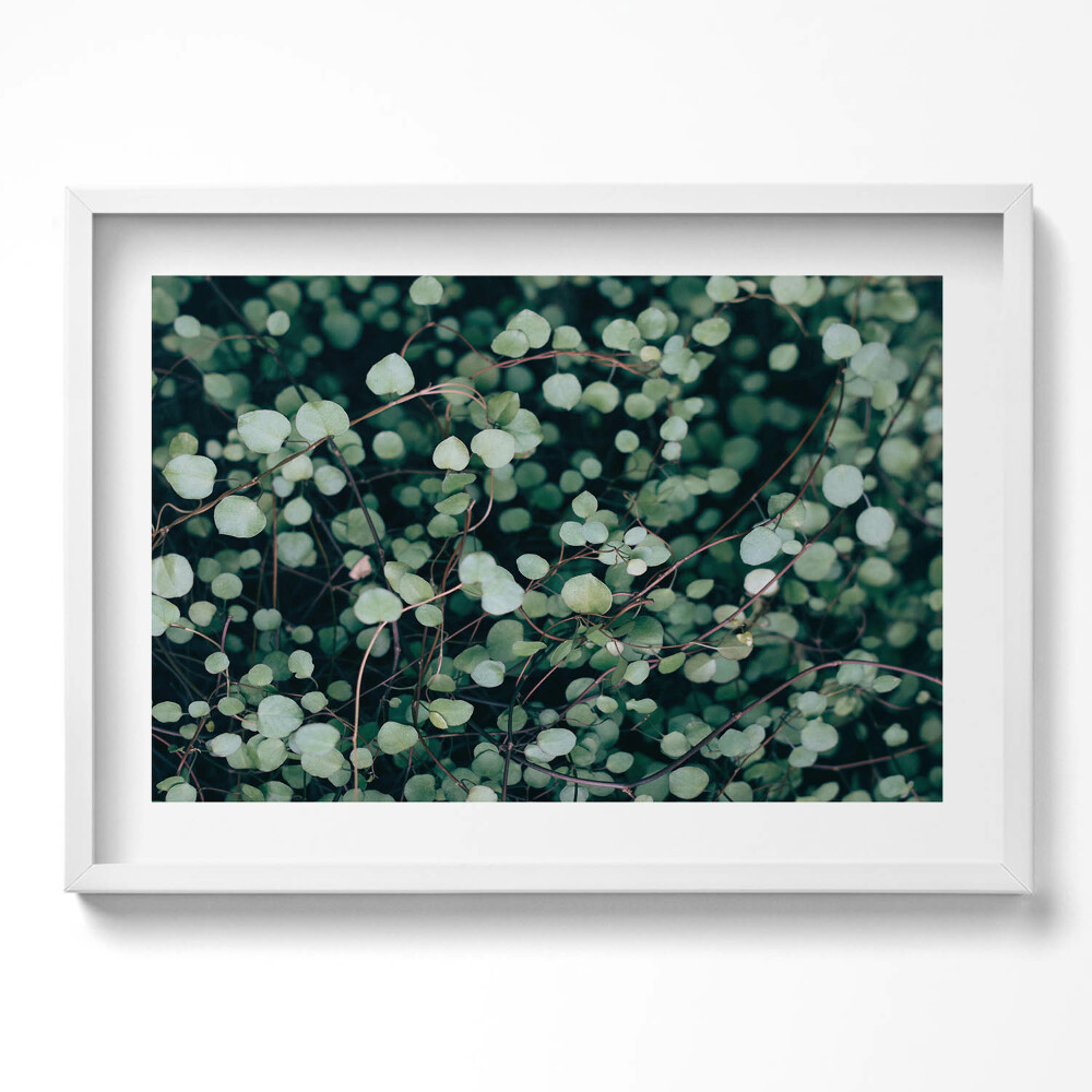 Kép keretben Zöld levelek természetes motívum