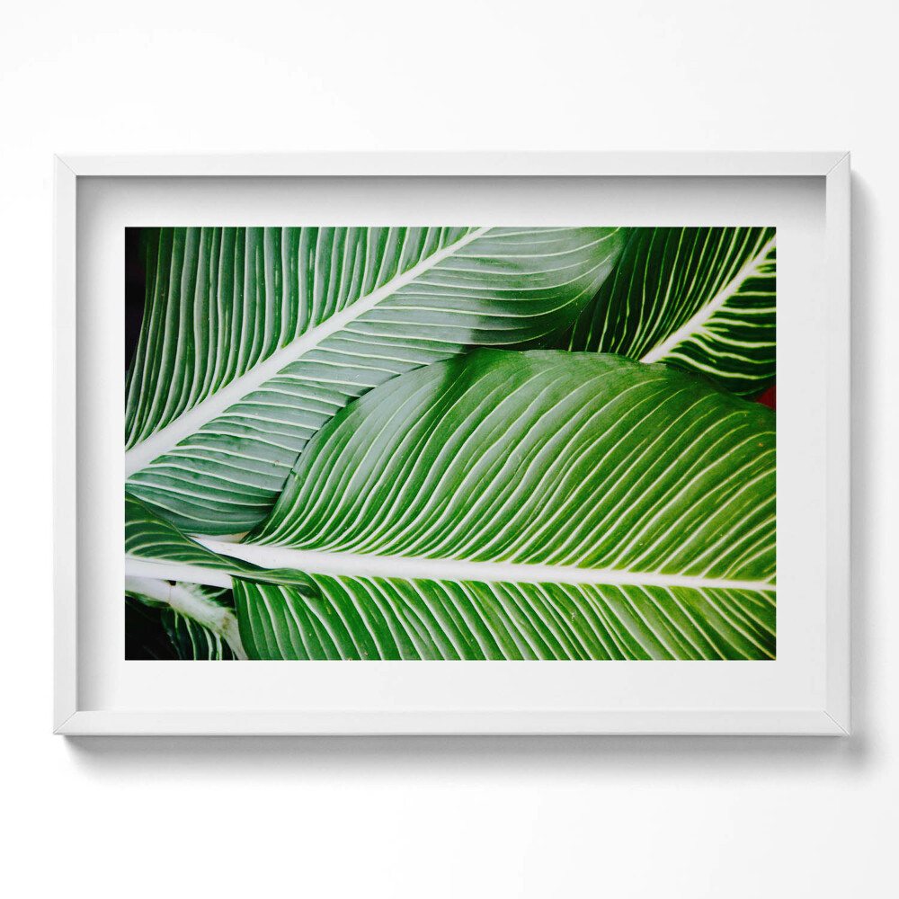 Kép keretben Zöld levelek közelről