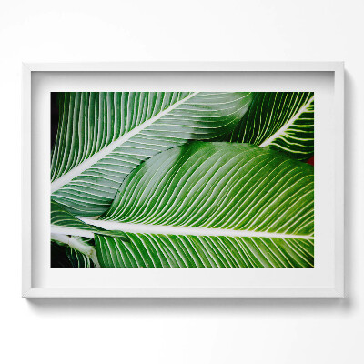 Kép keretben Zöld levelek közelről