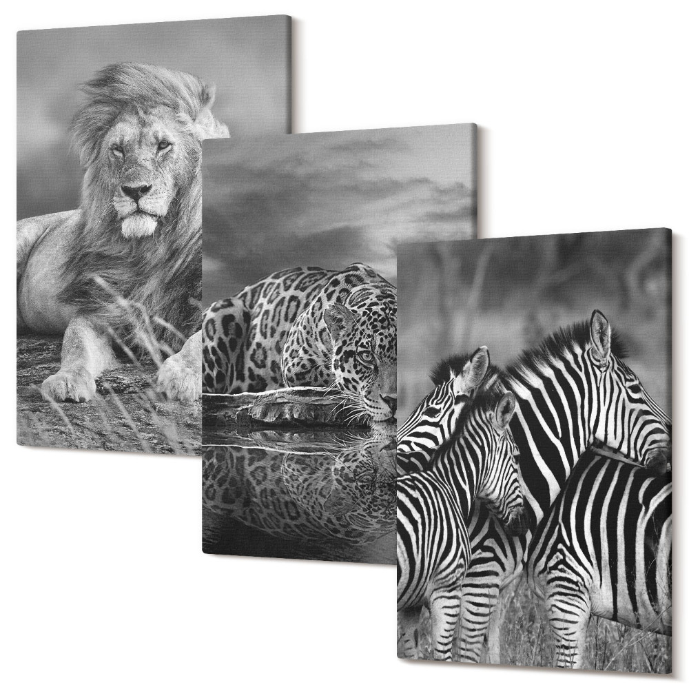 Falikép szett triptichon A szavanna vadon élő állatai: oroszlán, jaguár és zebra