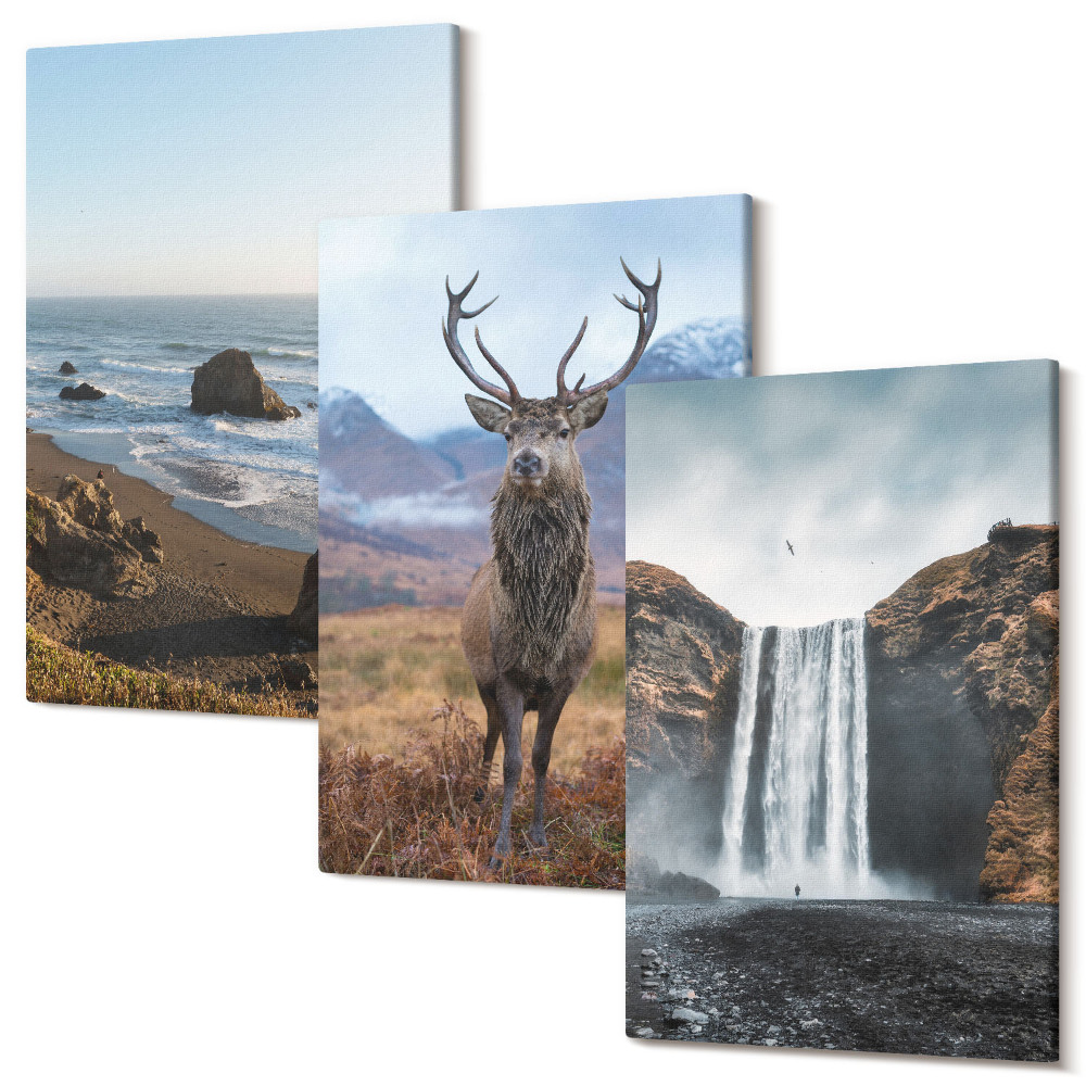 Háromrészes vászonkép szett Hegyi tájak vízeséssel, szarvassal és stranddal
