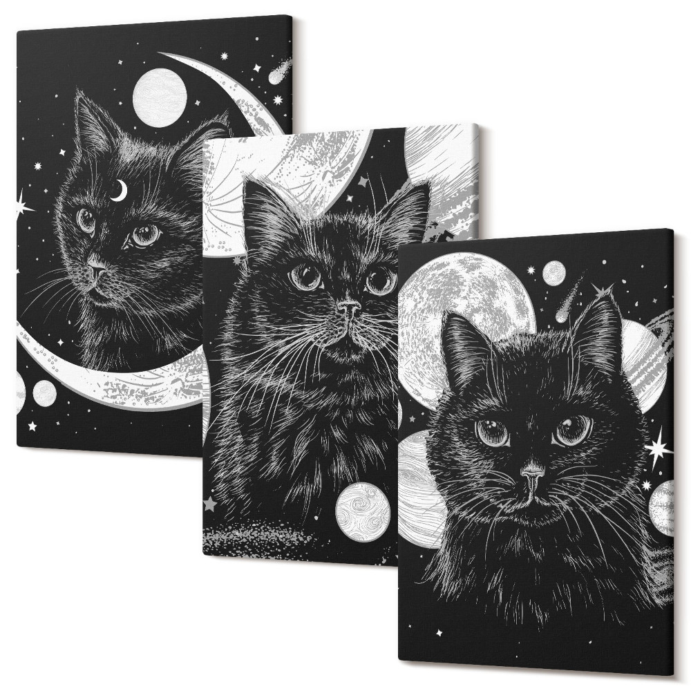 Háromrészes vászonkép szett Fekete macskák a Hold és a bolygók hátterében az űrben