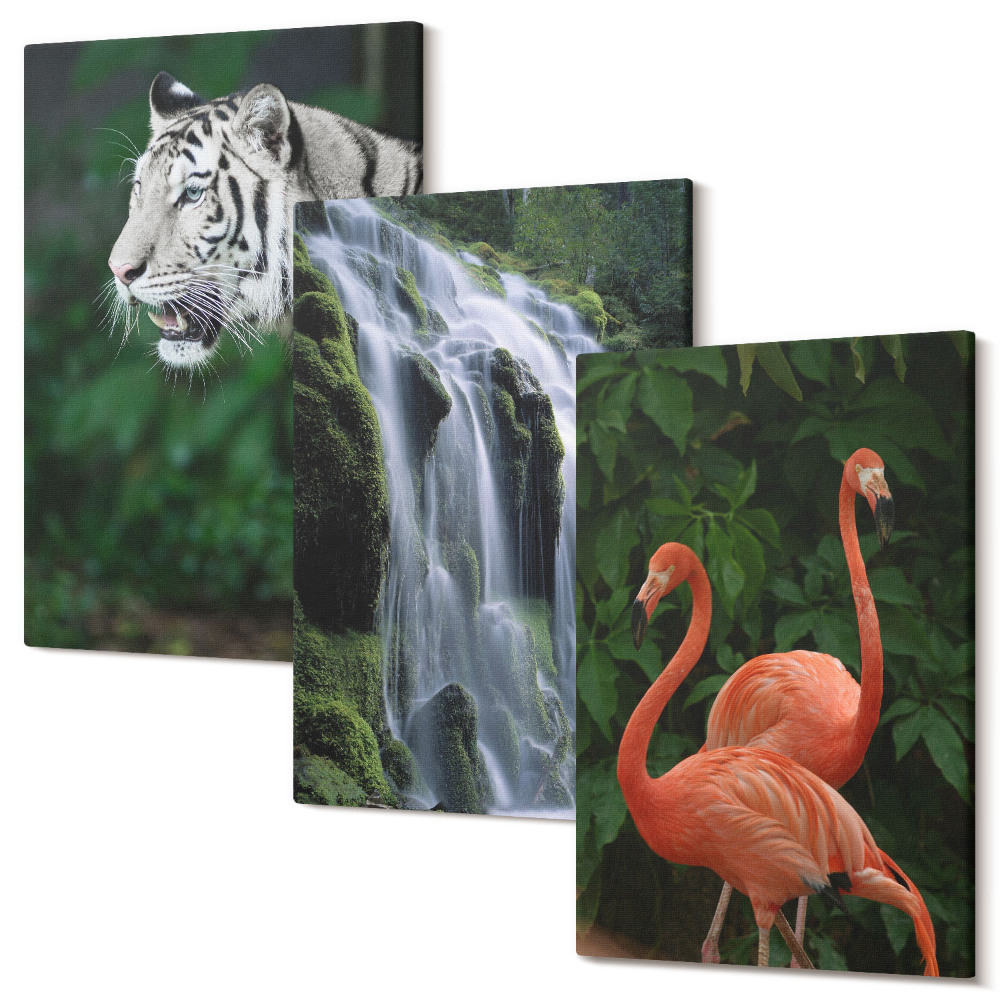 Háromrészes vászonkép szett Tigris vízesés és rózsaszín flamingók a természetben