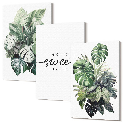 Kép szett triptichon Zöld növények Édes Otthon felirattal
