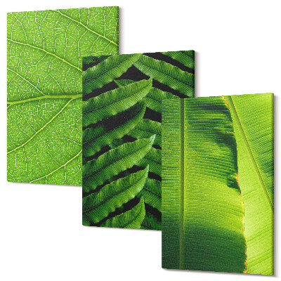 Kép szett triptichon Közeli képek a trópusi levelekről