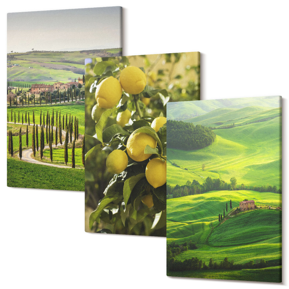 Kép szett triptichon Olasz tájak citrusfákkal és zöld dombokkal