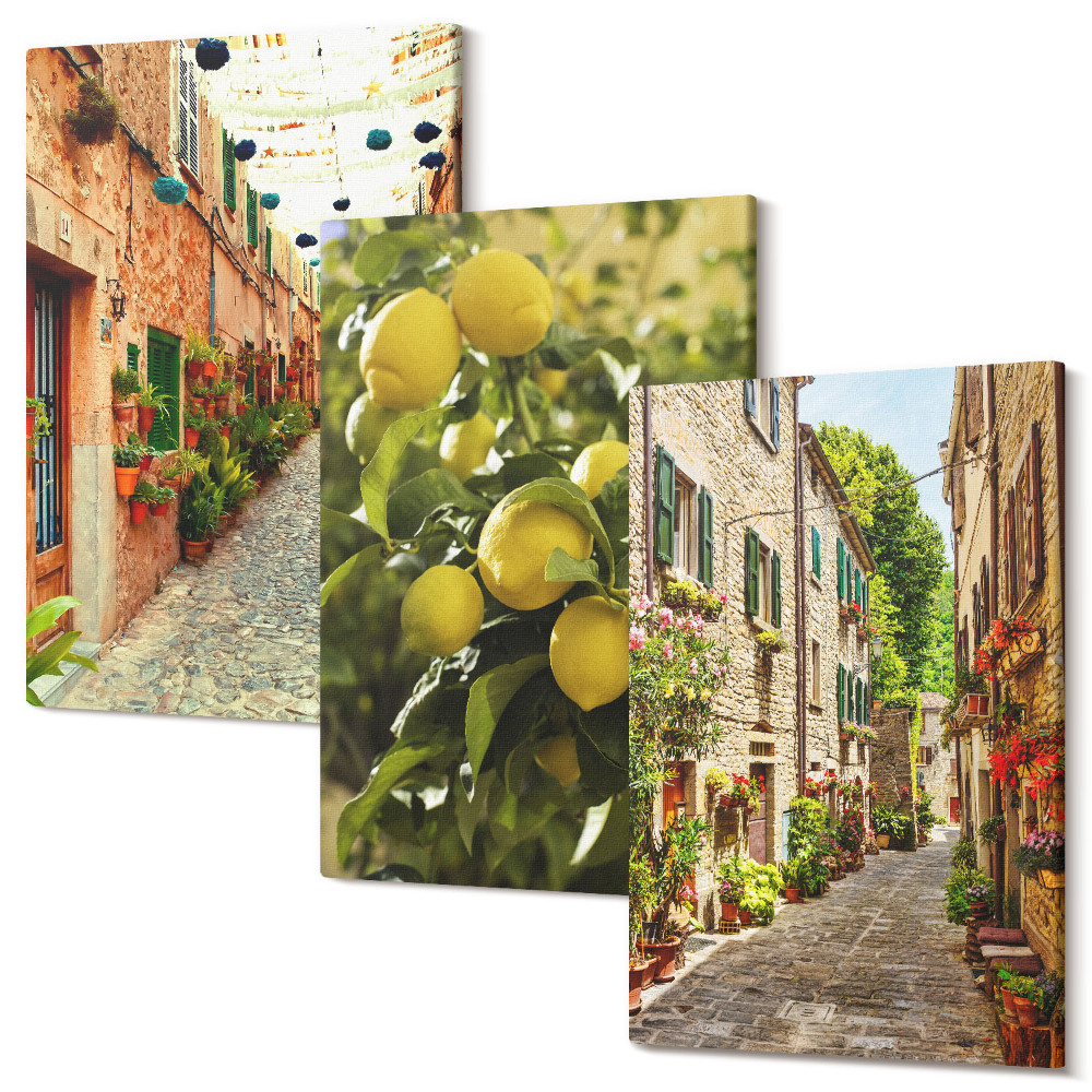 Falikép szett triptichon Bájos utcák virágokkal és citrommal a háttérben