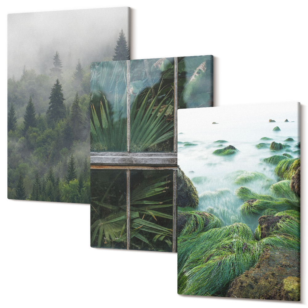 Háromrészes vászonkép szett Egy erdő a ködben, egy folyópart és egy üvegház növényekkel