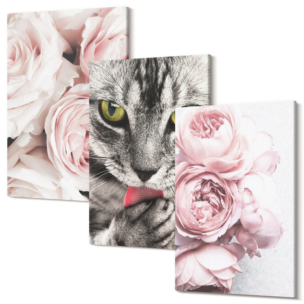 Falikép szett triptichon Egy macska a rózsa és a pünkösdi rózsa rózsaszín virágai között