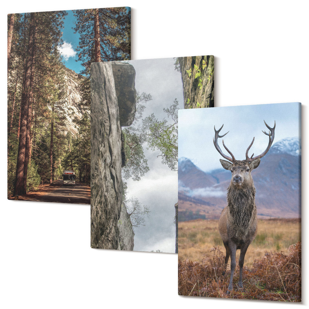 Falikép szett triptichon Út az erdőben, a hegyek és a szarvas a természetben