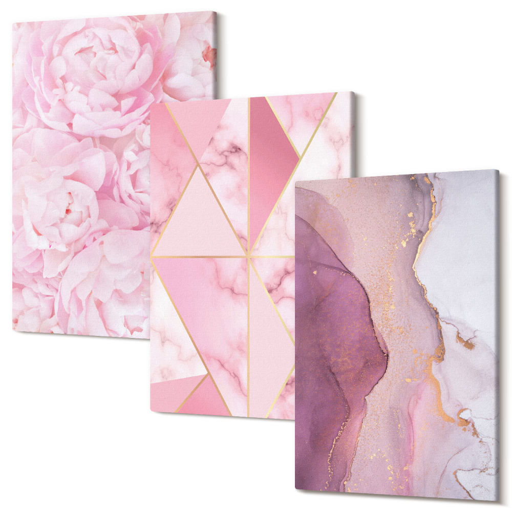Háromrészes vászonkép szett Rózsaszín virágok, pünkösdi rózsa geometriai minták