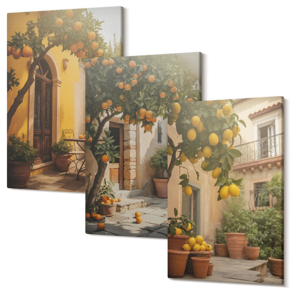 Falikép szett triptichon Napos terasz citrusfákkal és cserepekkel