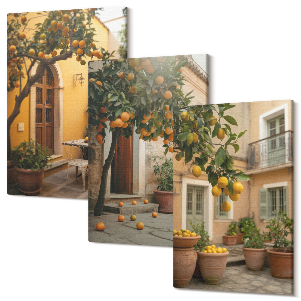 Kép szett triptichon Kert citrusfákkal napos környezetben