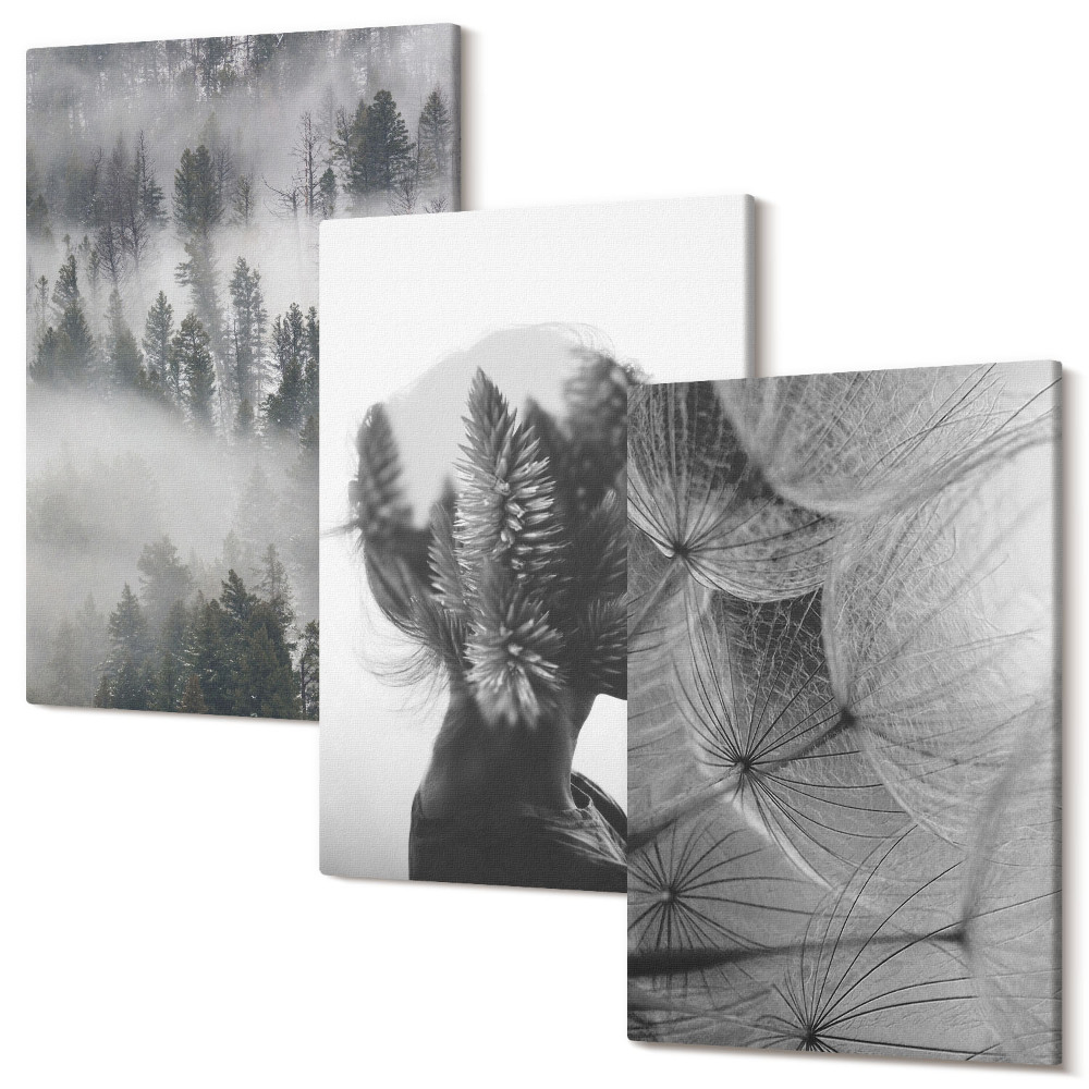 Falikép szett triptichon Erdő a ködben portré fák finom pitypang