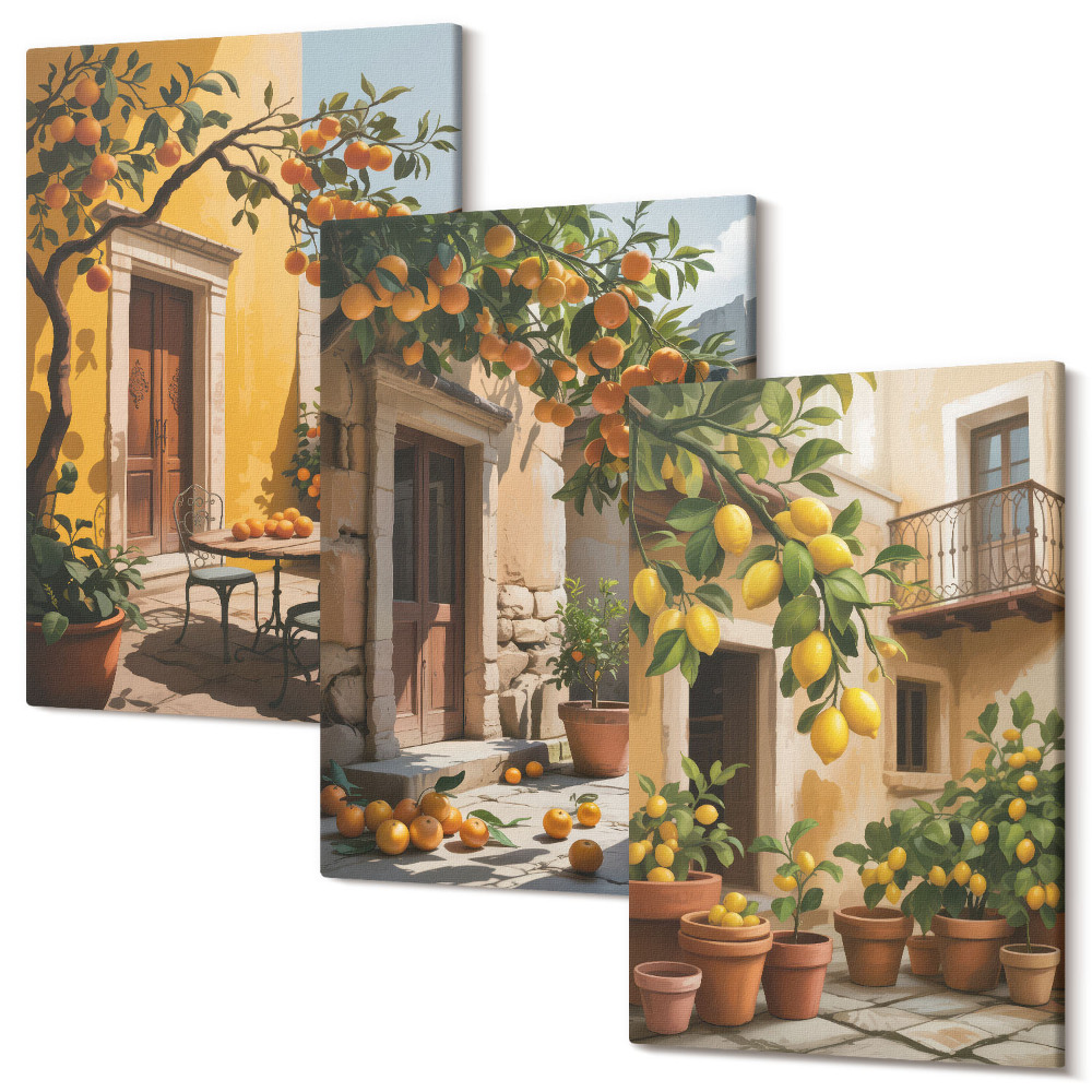 Kép szett triptichon Citrusfélék egy napsütötte udvaron növényekkel