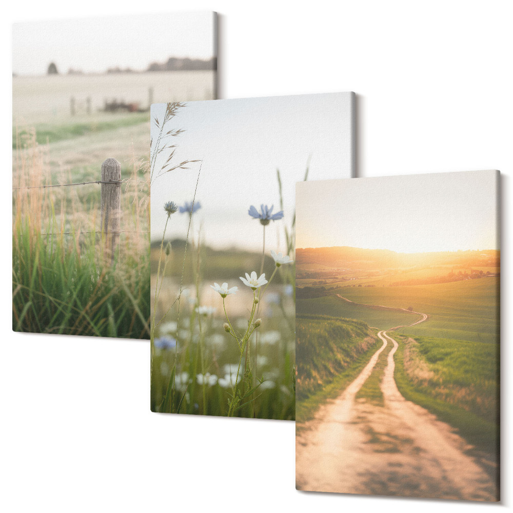 Háromrészes vászonkép szett Természeti tájak mezőkkel és egy ösvény a napon