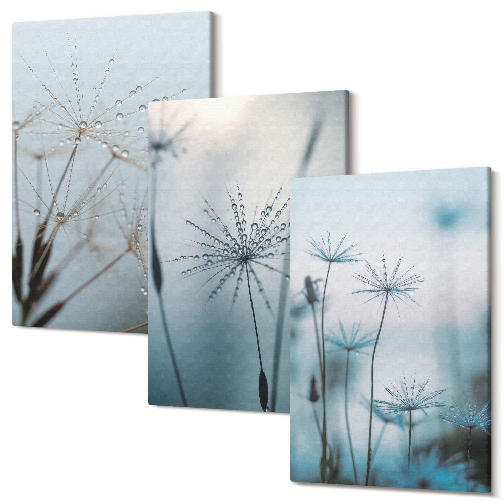 Falikép szett triptichon Finom pitypang vízcseppekkel