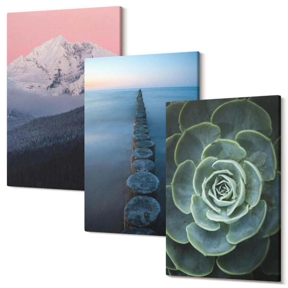 Háromrészes vászonkép szett Hegyek rózsaszín égbolttal, vízzel és zöld zamatos