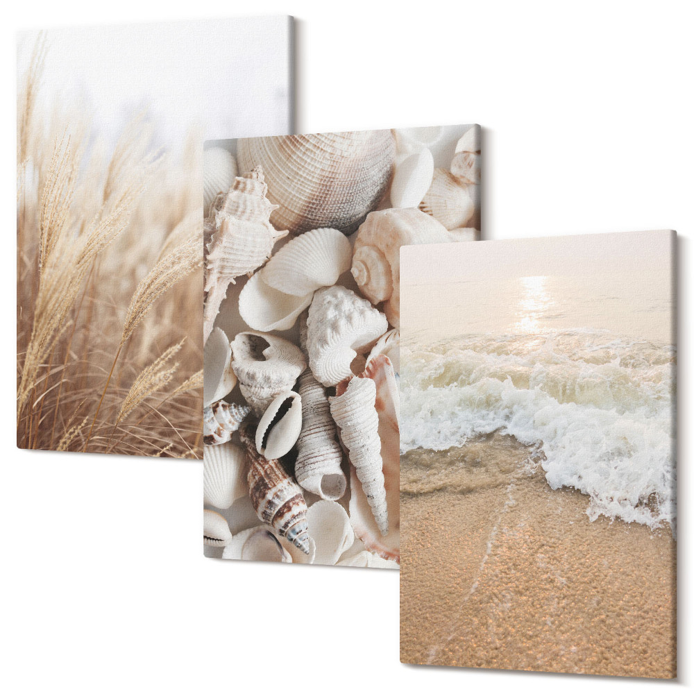 Kép szett triptichon Tengerparti motívumok kagylókkal és tenger hullámaival