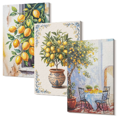 Kép szett triptichon Citromfák és gyümölcsök napsütéses környezetben