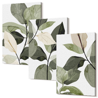 Háromrészes vászonkép szett Festett finom boho növény levelei