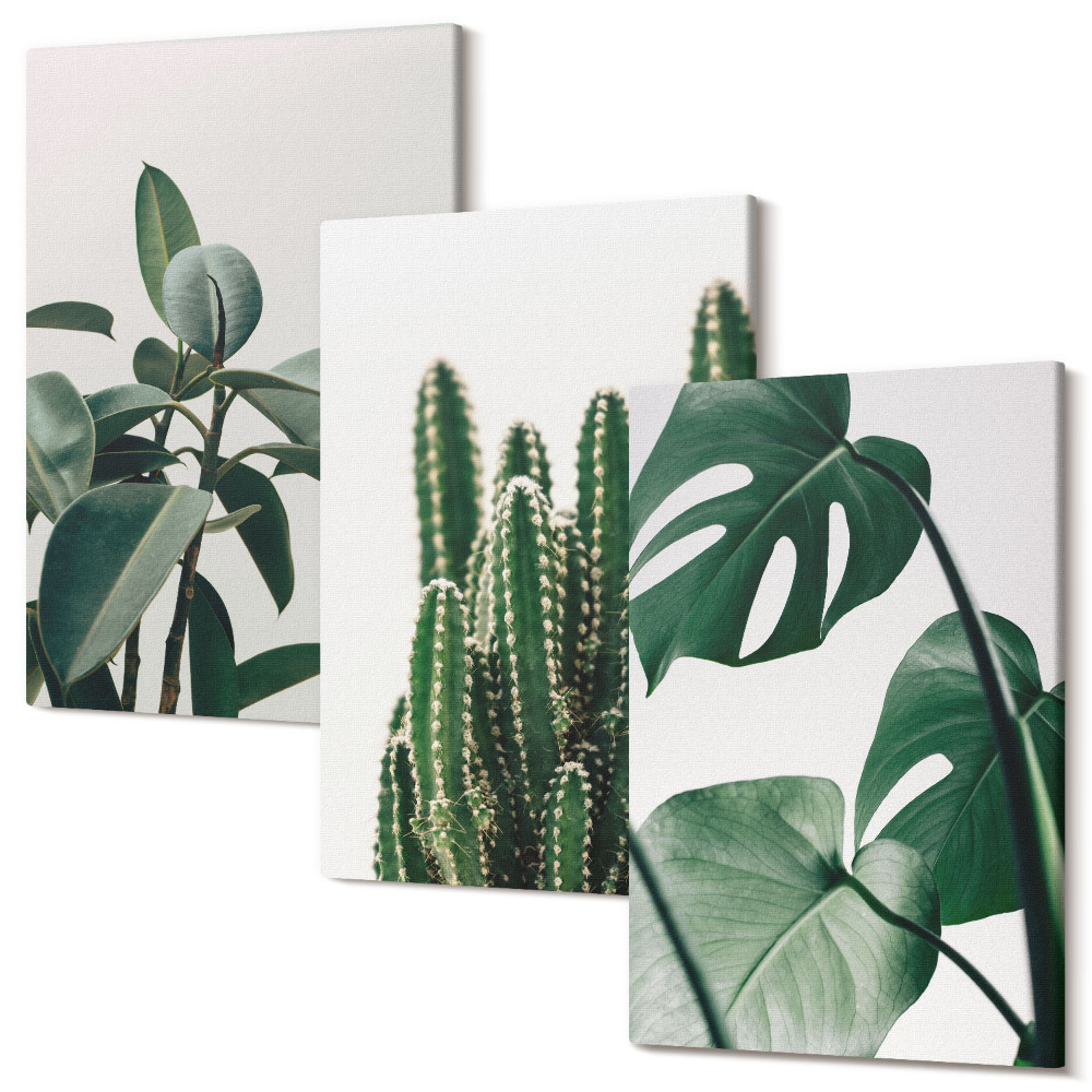 Háromrészes vászonkép szett A trópusi szobanövények esztétikus levelei