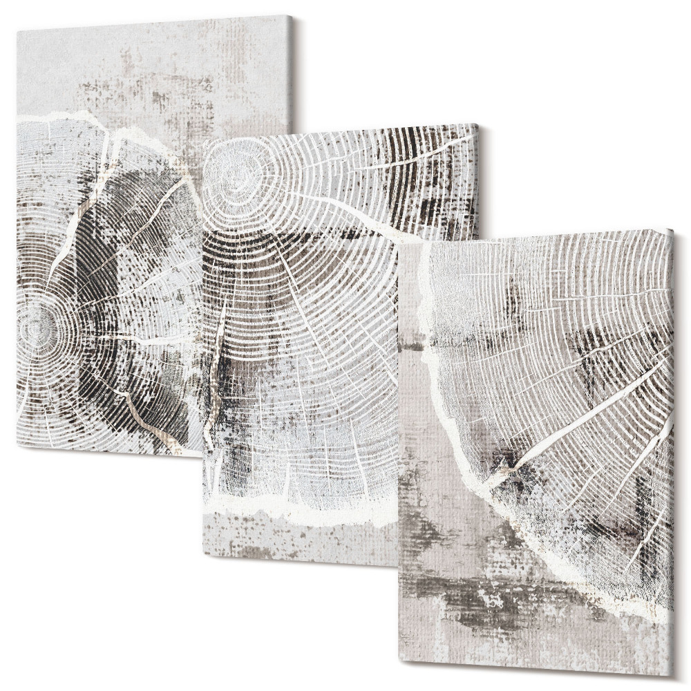 Kép szett triptichon Fa erezetminták szürke és fehér árnyalatokban