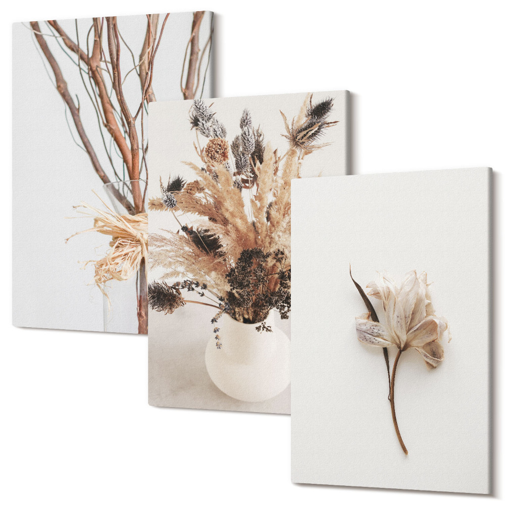 Háromrészes vászonkép szett Virágok és ágak minimalista természet stílusban