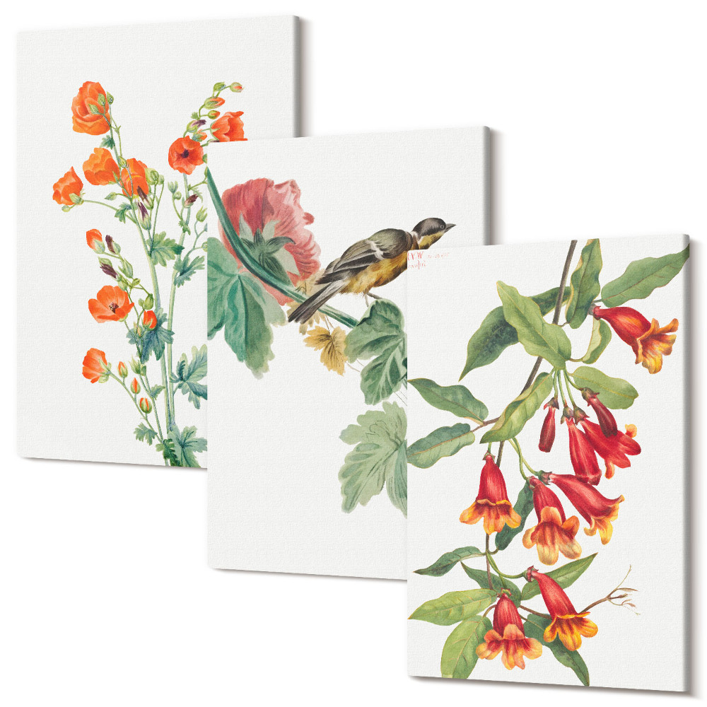 Háromrészes vászonkép szett Festett retro virágok és egy madár egy ágon