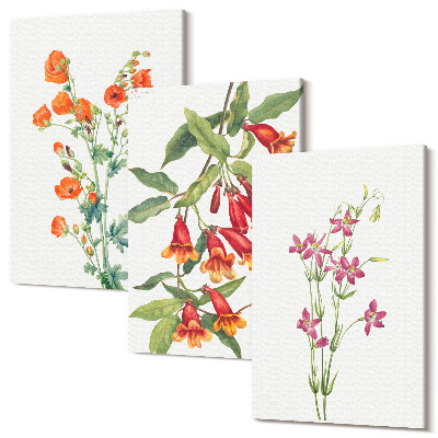 Falikép szett triptichon Vintage retro virágfestmény