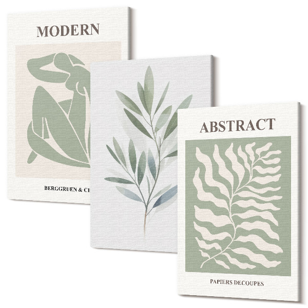 Háromrészes vászonkép szett Matisse design akvarell boho növények