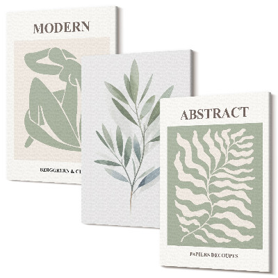 Háromrészes vászonkép szett Matisse design akvarell boho növények