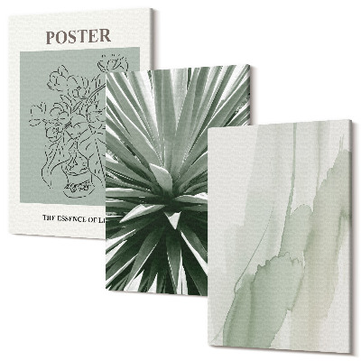 Kép szett triptichon Zöld és bézs árnyalatú növényi minták
