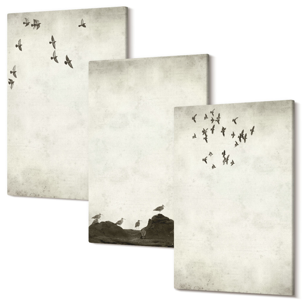 Kép szett triptichon Repülő madárraj minimalista stílusban