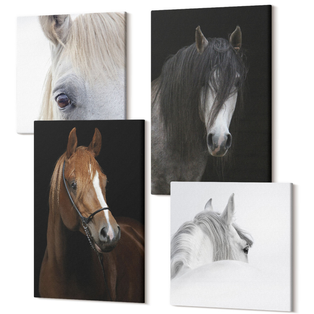 Négy részes vászonkép Lovak portréi a szőr különböző árnyalataiban