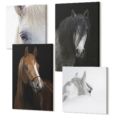 Négy részes vászonkép Lovak portréi a szőr különböző árnyalataiban