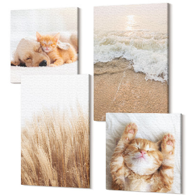 Négy részes vászonkép Aranyos állatok macskák kutya strand fű boho
