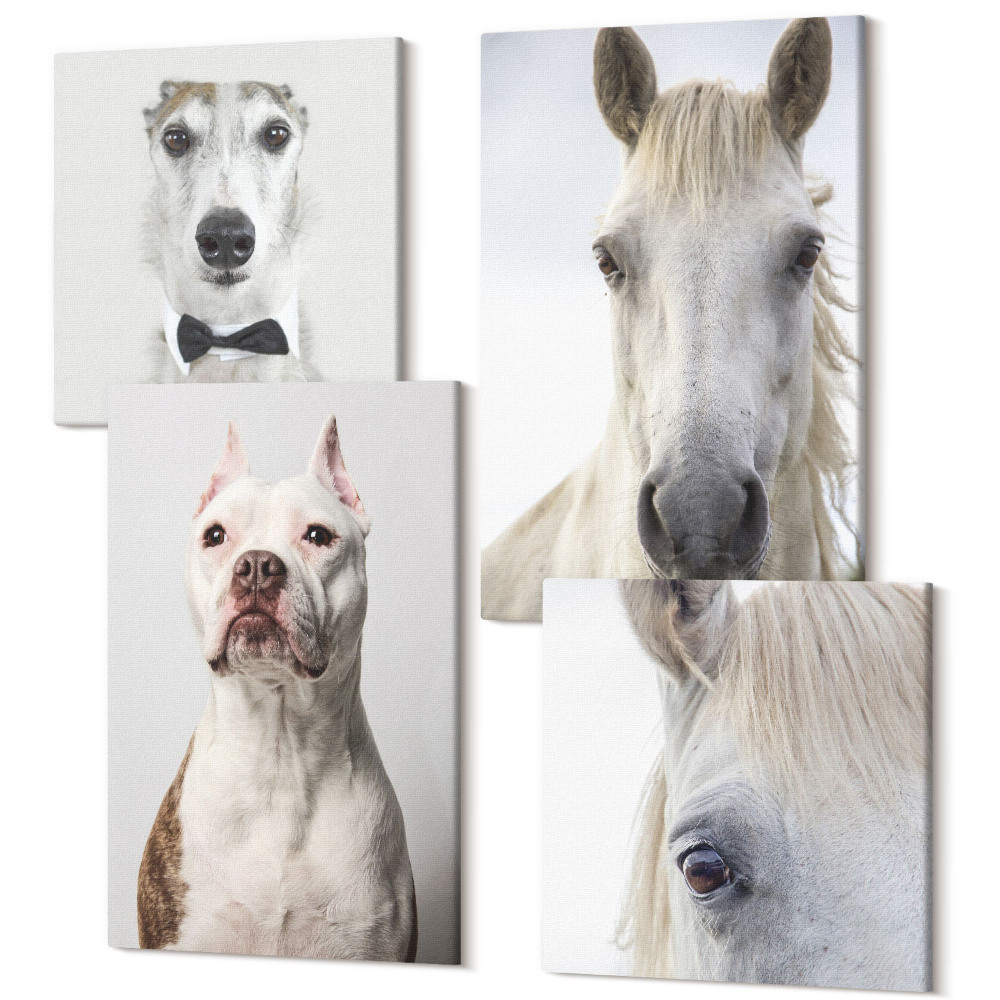 Négy részes vászonkép Érdekes portrék kutyákról és lovakról elegáns stílusban