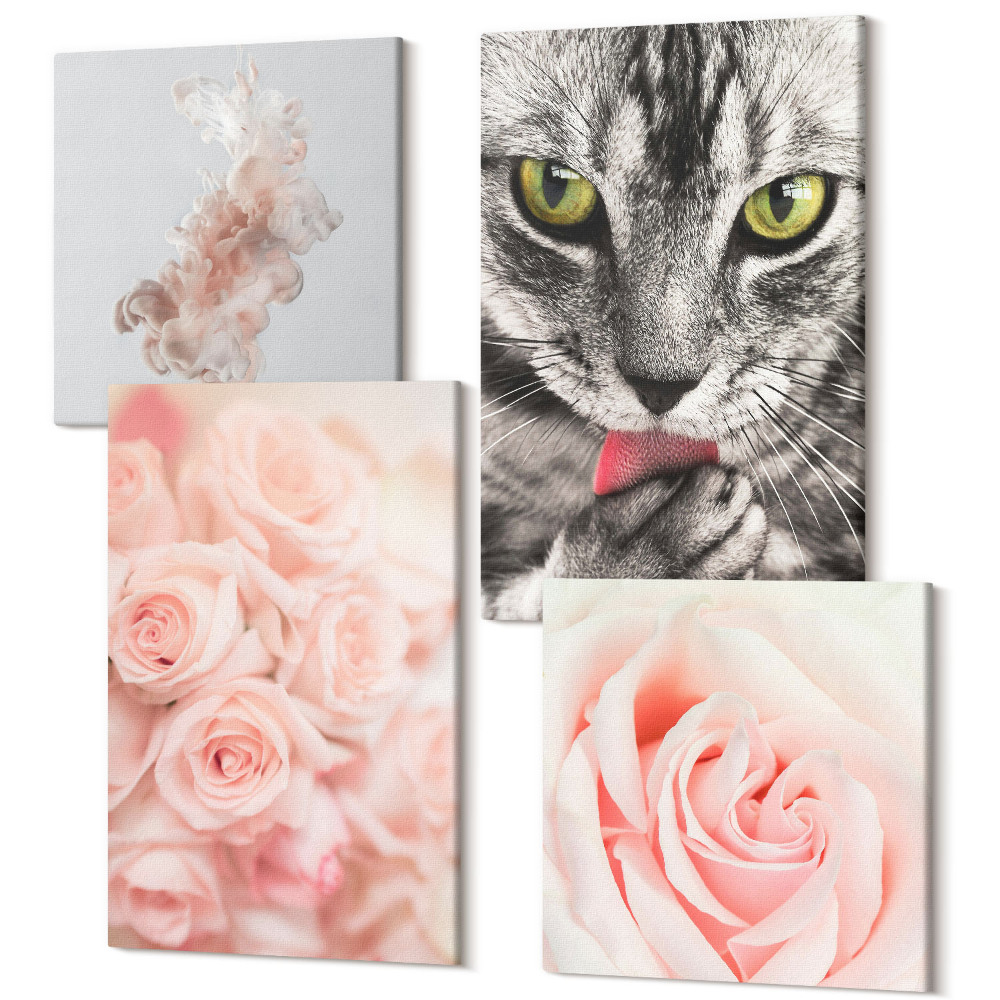 Négy részes vászonkép Szürke macska finom rózsák finom absztrakció