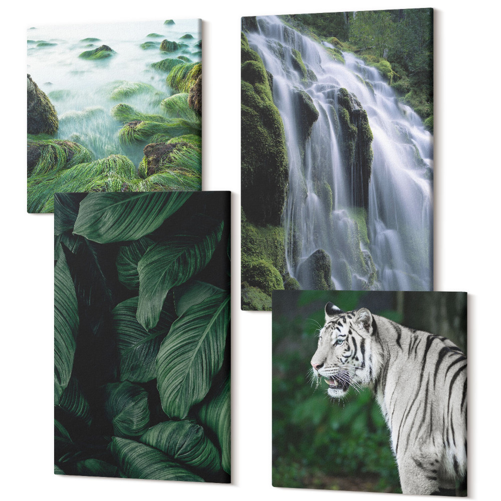 Négy részes vászonkép szett Fehér tigris levelek és vízesés természetes környezetben